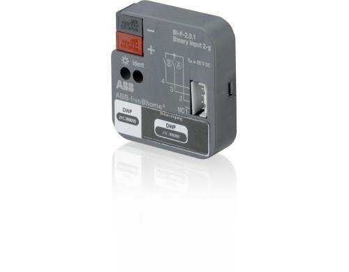 ABB free@home UP-Binäreingang 2-fach 20 V DC Abfragespannung