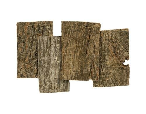 Creativ Company Baumrindestücke 9.5 x 6.5cm Stärke 1-4 mm, 340 g