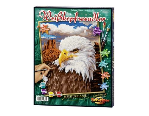 MNZ - Weisskopfseeadler Alter: 8+