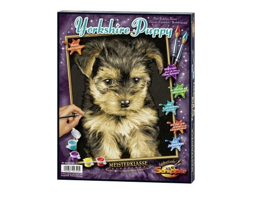 MNZ - Yorkshire Puppy Alter: 8+