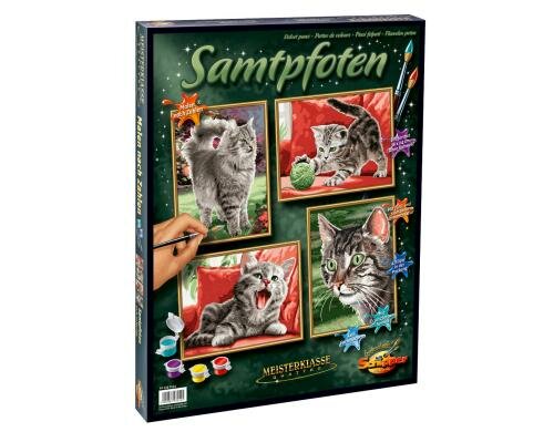 MNZ - Samtpfoten (Quattro) Alter: 8+