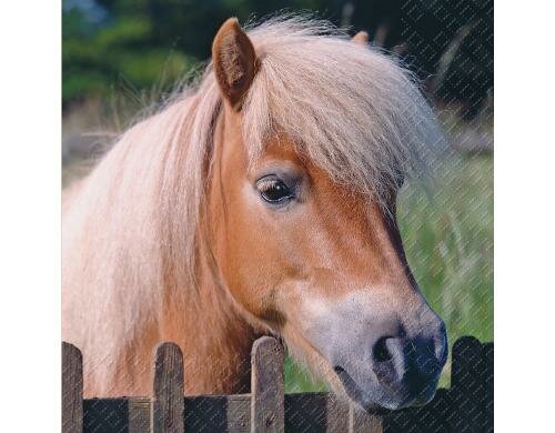 Stewo Servietten Walli 20 Stück, Grösse 33x33cm