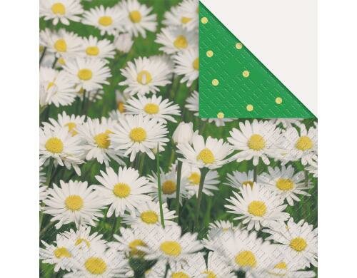 Stewo Servietten Ena 20 Stück, Grösse 33x33cm