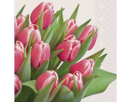 Stewo Servietten Mirjam 20 Stück, Grösse 33x33cm