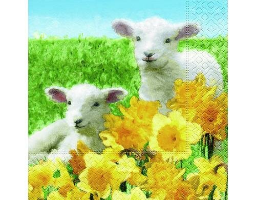 Paper + Design cute lambs Servietten 33x33 cm, 20 Stück