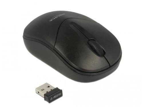 Delock 12494 USB 2.4 GHz, WIRELESS