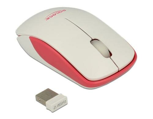 Delock 12495 USB 2.4 GHz, WIRELESS