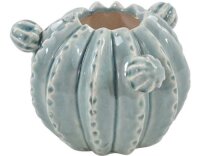 Hoff Interieur Vase Kaktus 10cm 1 Stück, Höhe...