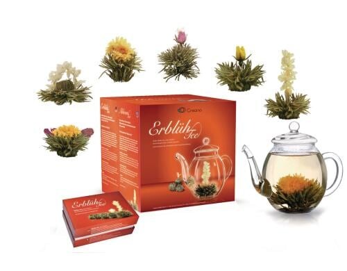 Creano Erblühtee Weisser Tee Geschenkset 6 Teeblumen, 1 Creano Teekanne