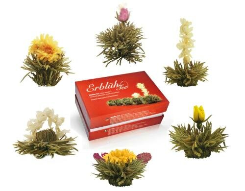 Creano Erblühtee 6er Box Weisser Tee 6 Teeblumen in 6 Variationen