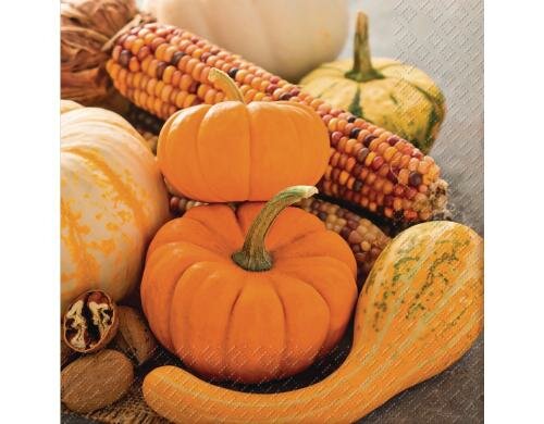 Stewo Servietten Zucca 20 Stück, Grösse 33x33cm