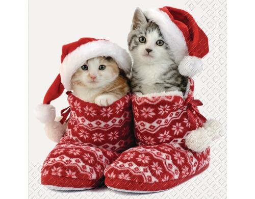 Stewo Servietten Freya 20 Stück, Grösse 33x33cm