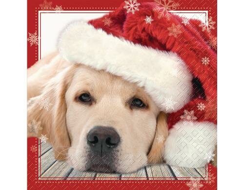 Stewo Servietten Lupo 20 Stück, Grösse 33x33cm