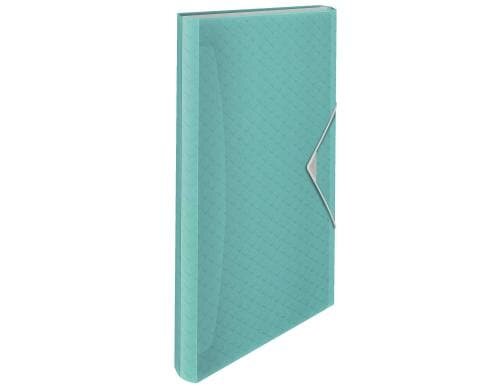 Esselte ColourICE Projektmappe A4 6 Fächer blau