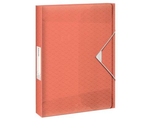 Esselte ColourICE Gummibandmappe A4 40mm apricot