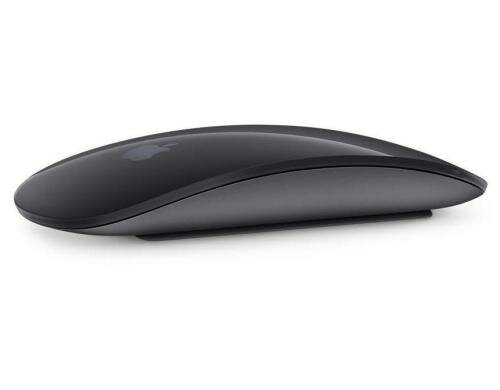 Apple Magic Mouse2, Spacegrau Multitouch Bluetooth Maus Spacegrau