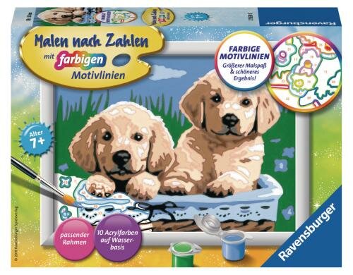 MnZ Süsse Hundewelpen Alter: 7+ Sprache D