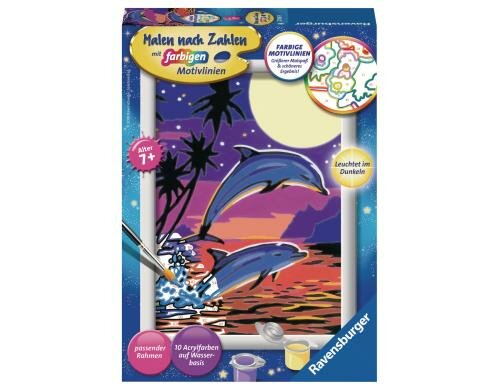 MnZ Delfine Alter: 7+ Sprache D