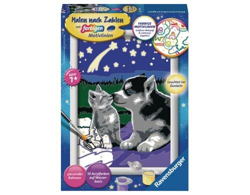 MnZ Hund und Katze Alter: 7+ Sprache D