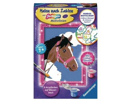 MnZ Pferd Alter: 7+ Sprache