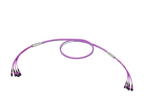 Lightwin LWL MTP Trunkkabel 48-fasrig 04x MTP(M)-04x MTP(M),OM4, 10M