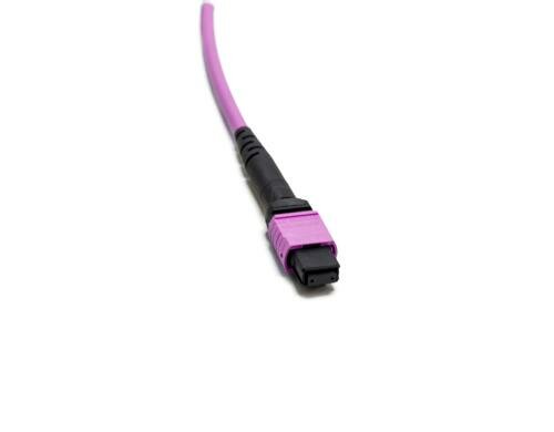 Lightwin LWL MTP Trunkkabel 24-fasrig 01x MTP(M)-01x MTP(M),OM4, 2M