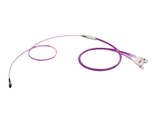 Lightwin LWL Fanoutkabel 12-fasrig 01x MTP(M)-12x LC/PC, OM4, 3M