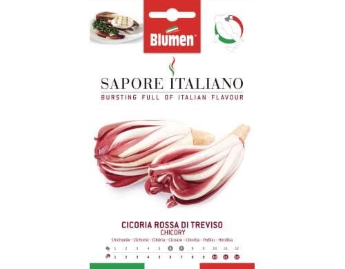 Blumen Zichorie Rossa di Treviso 13 g