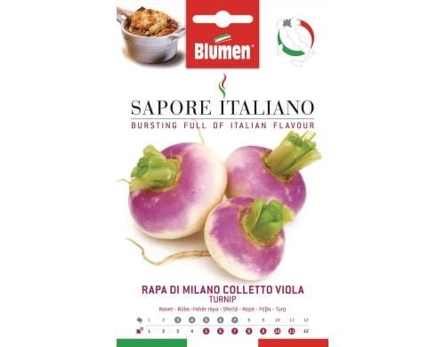 Blumen Rübe di Milano Colletto Viola 14 g