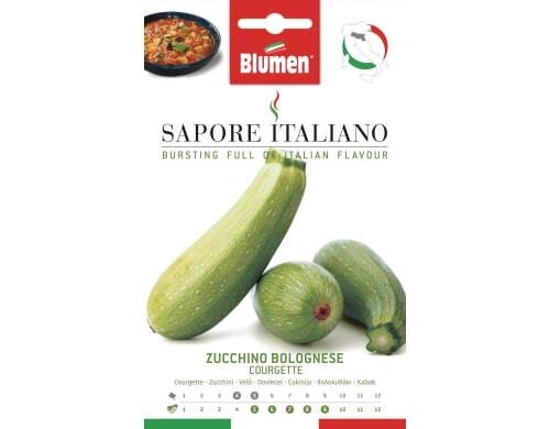 Blumen Zucchini Bolognese 10 g