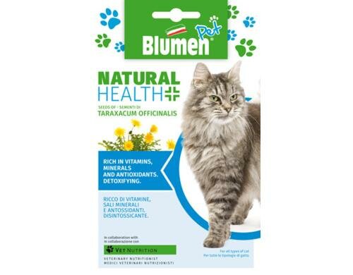 Blumen Löwenzahn (Taraxacum officinalis) 2.8 g