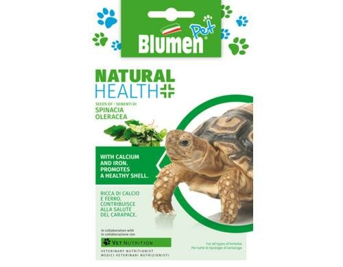 Blumen Spinat (Spinacia oleracea) 19 g