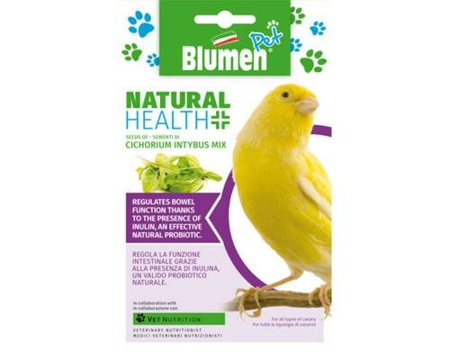 Blumen Zichorie (Cichorium intybus Mix) 24 g