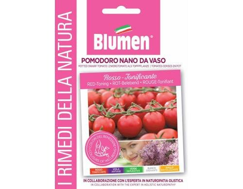 Blumen Zwergtomate (Solanum lycop.) 2 g