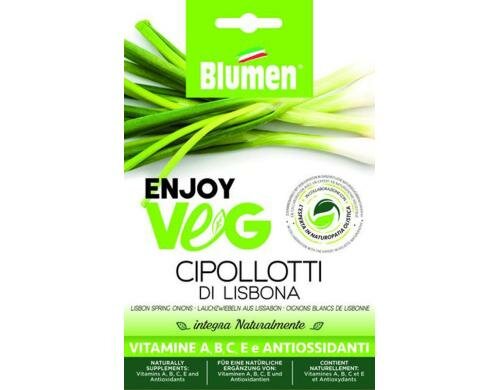 Blumen Lauchzwiebel Lissabon (Allium) 4 g