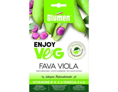 Blumen Ackerbohne violett (Vicia faba) 50 g