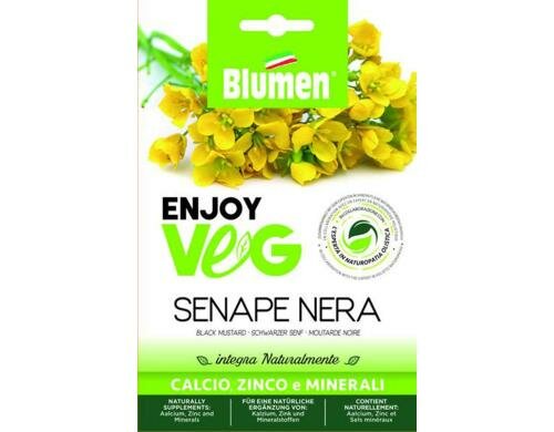 Blumen Schwarzer Senf (Brassica) 15 g