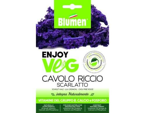 Blumen Grünkohl lila (Brassica ol.) 4 g