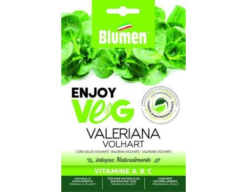 Blumen Nüssli (Valerianella) 5 g