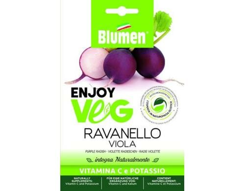 Blumen Radis violett (Raphanus sativus) 12 g