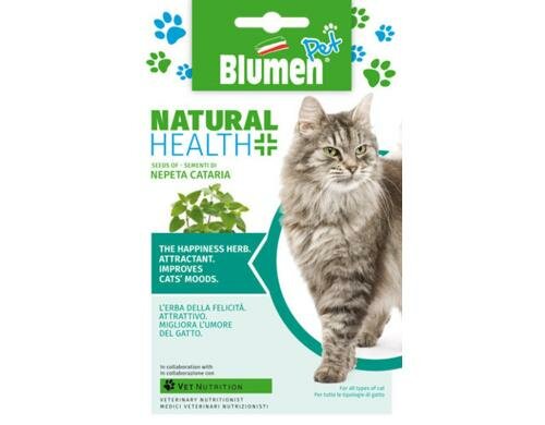 Blumen Katzenminze (Nepeta cataria) 7 g