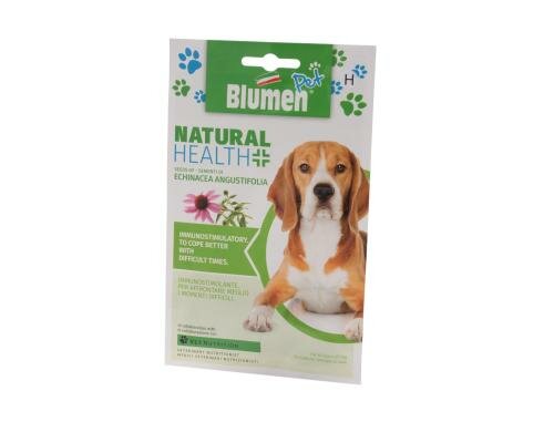 Blumen Sonnenhut (Echinacea angustif.)