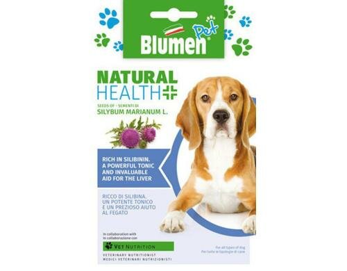 Blumen Mariendistel (Silybum marianum) 5 g