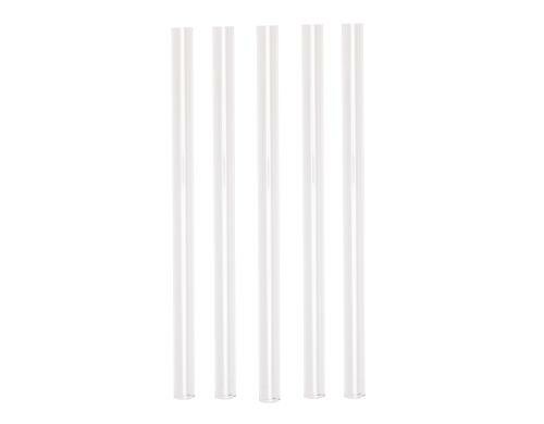 Strawganic Glasstrohhalme Set transparent gerade,5 Stück 21cm, inkl. Reinigungsbürste