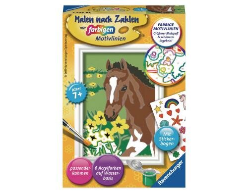 MnZ Fohlen Serie F