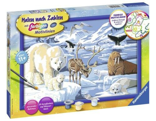 MnZ Tiere der Arktis Serie C