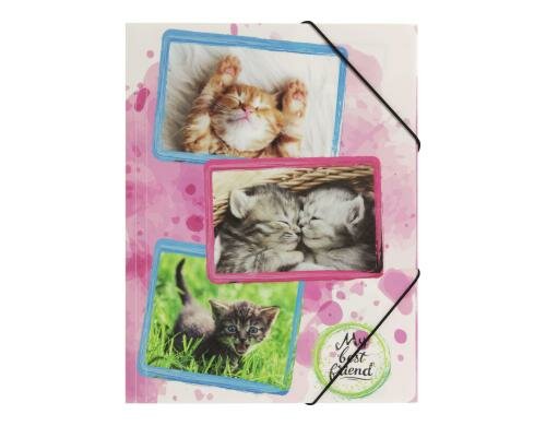Pagna Gummizugmappe A3 PP 3 Einschlagklappen, Katzen