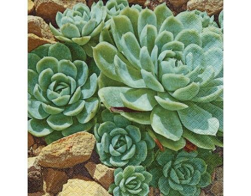 Paper + Design Servietten desert plants 33x33 cm, 20 Stück