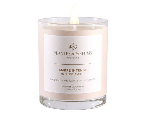 PLANTES & PARFUMS DE PROVENCE Duftkerze Ambre Intense, 180 gr.