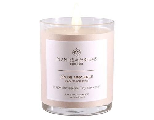 PLANTES & PARFUMS DE PROVENCE Duftkerze Pin de Provence, 180 gr.
